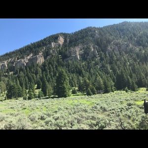 Meet your Posher, Tammy